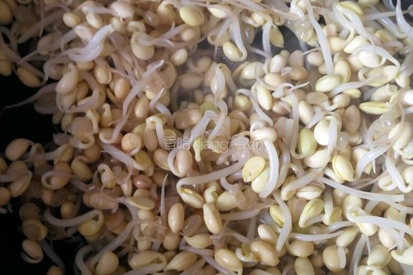 黄豆芽炒粉丝的做法图解6