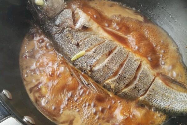 红烧海鲈鱼的做法图解8