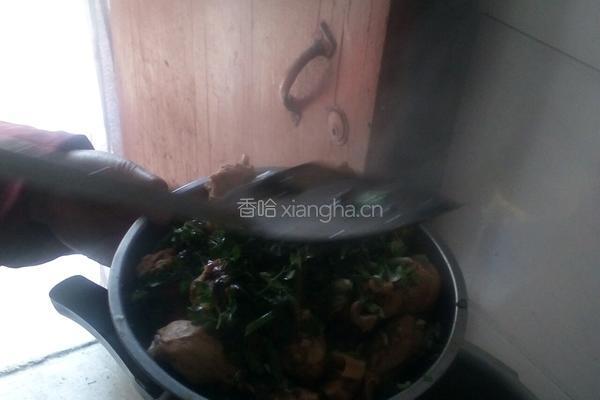 炖小鸡腿的做法图解5