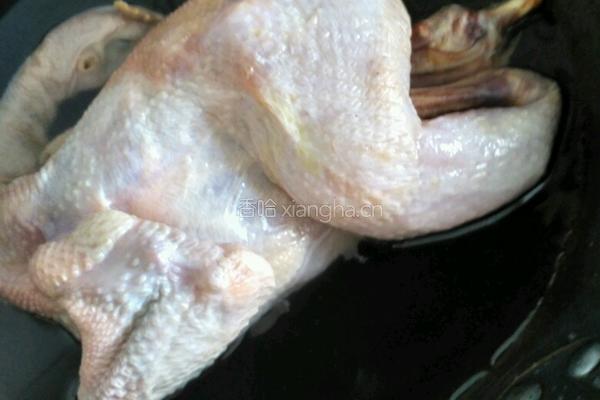 金鸡贺岁滋补汤的做法图解4