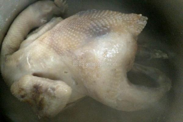 金鸡贺岁滋补汤的做法图解8