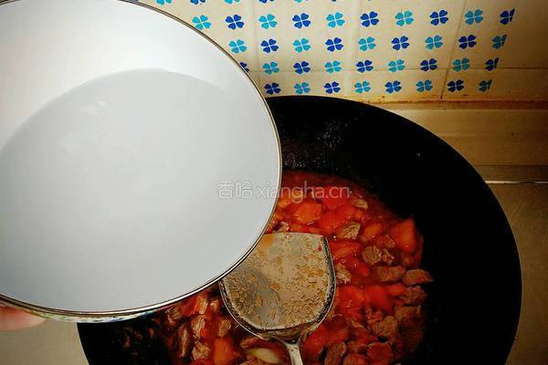 独家自创无油番茄炖牛肉的做法图解9