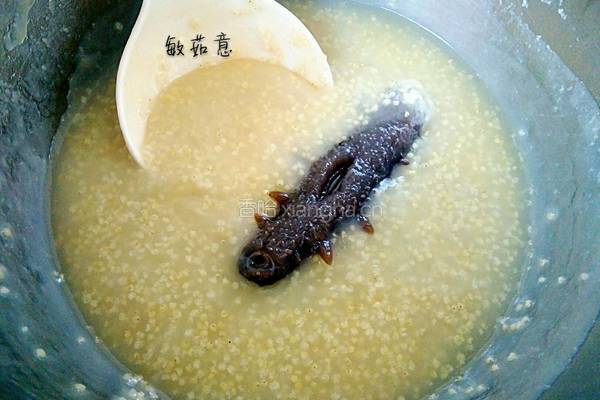 海参小米粥的做法图解4