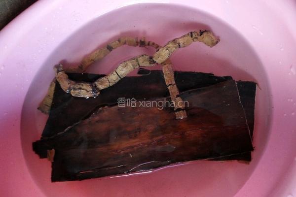 巴戟杜仲猪骨汤的做法图解1
