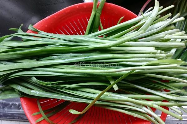 韭菜炒蚬肉的做法图解1