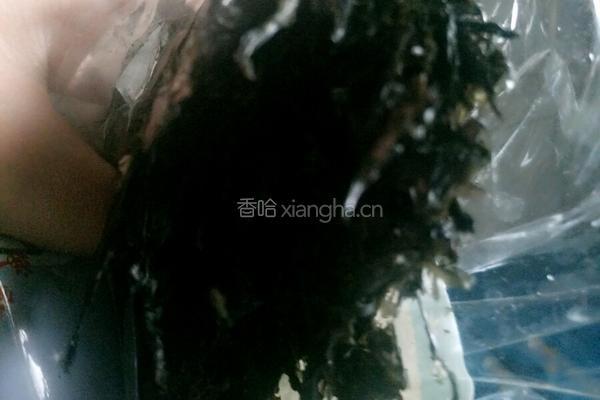 紫菜丸子鸡蛋汤的做法图解2