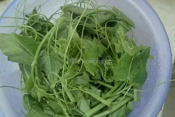 清炒佛手瓜叶的做法图解2