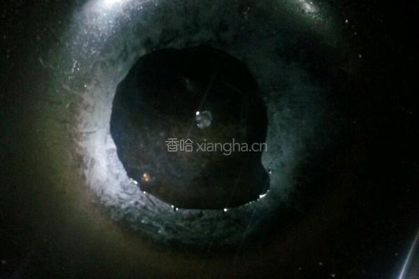 胡萝卜丝饼的做法图解5