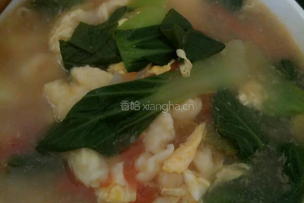 西红柿鸡蛋青菜疙瘩汤的做法图解9