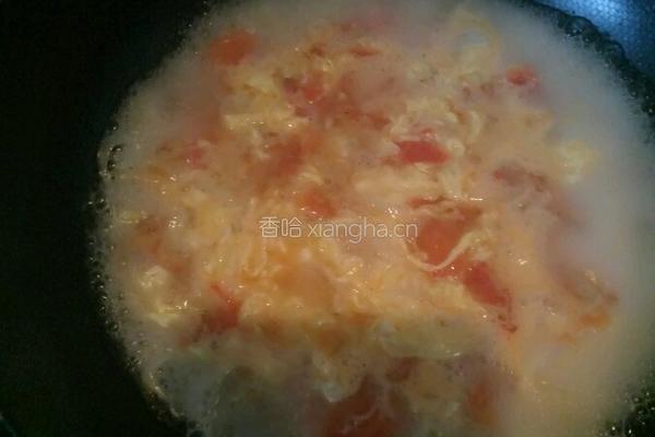 西红柿鸡蛋青菜疙瘩汤的做法图解6