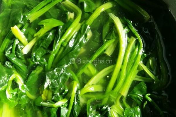 菠菜拌粉条（凉菜）的做法图解1