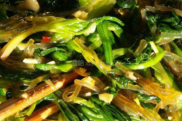 菠菜拌粉条（凉菜）的做法图解6