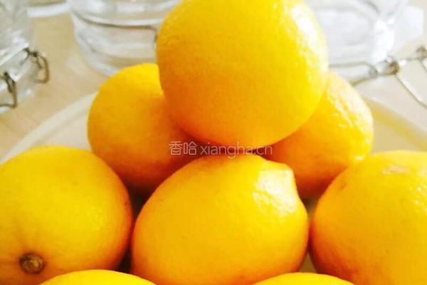 柠檬恋上蜂蜜的做法图解2
