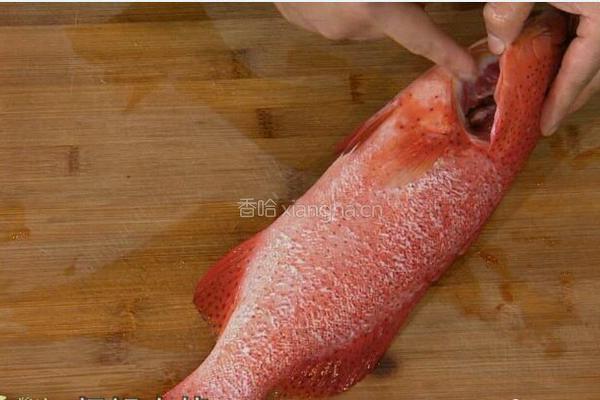 CCTV7食尚大转盘 双味黄耳东星斑的做法图解1
