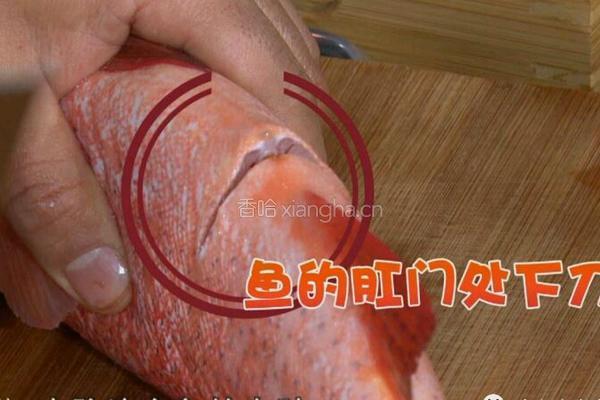 CCTV7食尚大转盘 双味黄耳东星斑的做法图解2