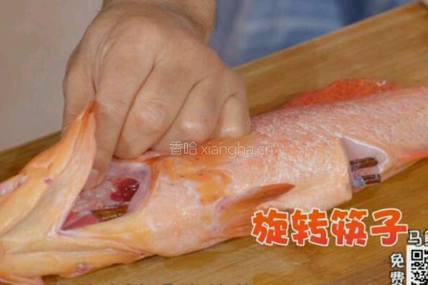 CCTV7食尚大转盘 双味黄耳东星斑的做法图解4