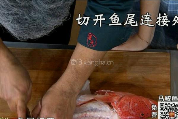 CCTV7食尚大转盘 双味黄耳东星斑的做法图解8