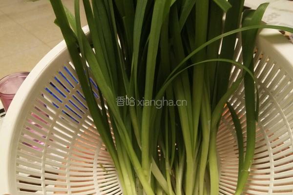 韭菜炒千张的做法图解1