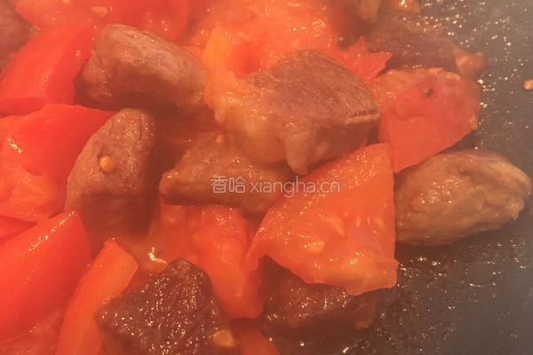 番茄土豆炖牛腩的做法图解5