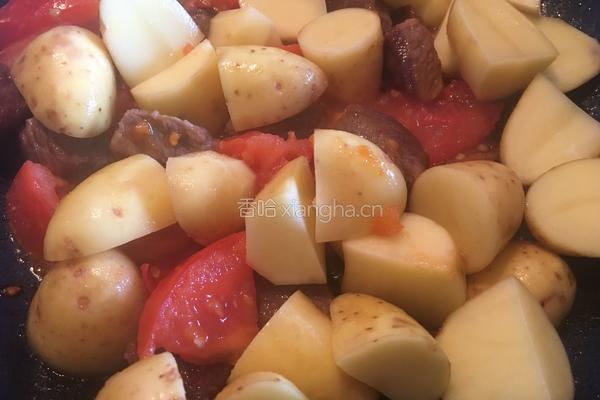 番茄土豆炖牛腩的做法图解6