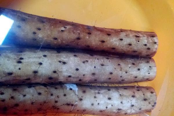 山药炖鸡的做法图解1