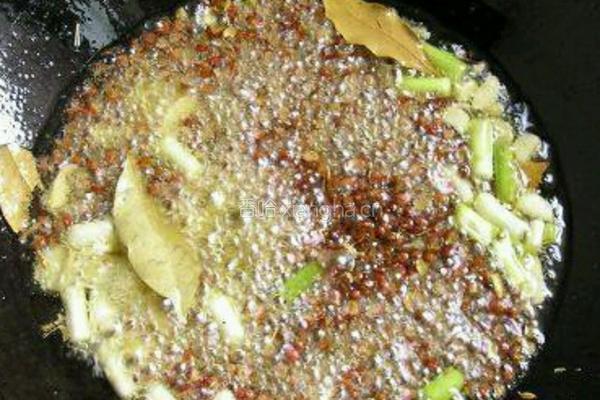 爆腌海白菜的做法图解3