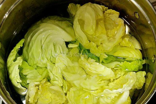 包菜油渣肉馅的做法图解6