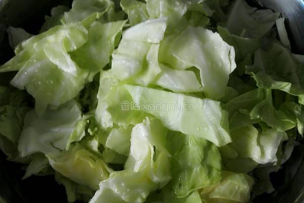 酱爆圆白菜的做法图解1