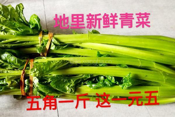 辣菜制作的做法图解1