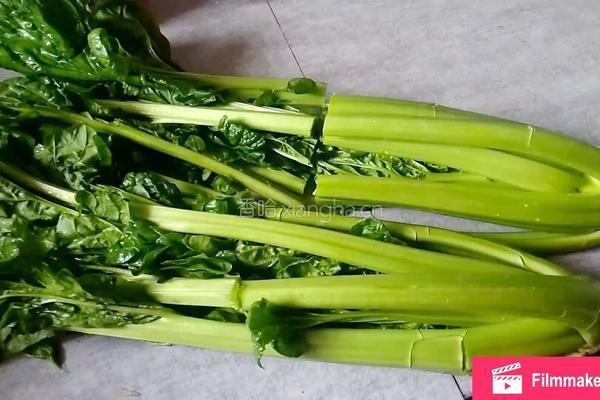 辣菜制作的做法图解2