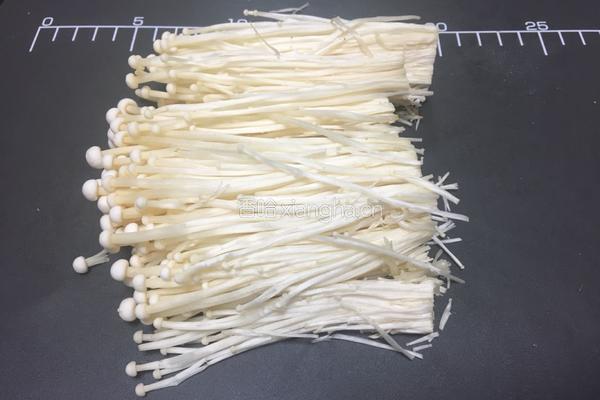 私房日式鸡汤锅的做法图解9