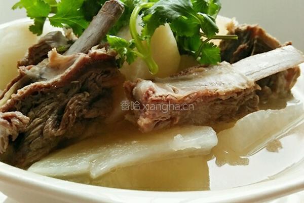 白萝卜炖羊排的做法图解10