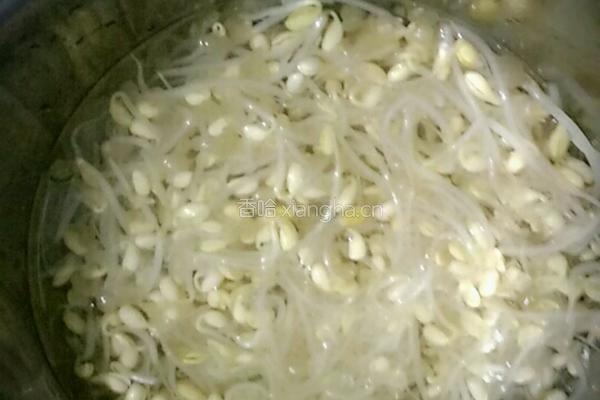 豆芽面筋的做法图解2