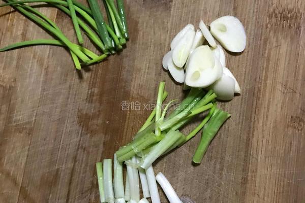 香煎鸡翅的做法图解2