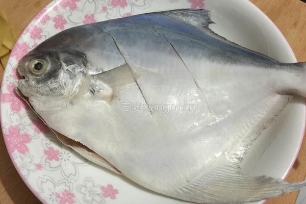 红烧海鲳鱼的做法图解1