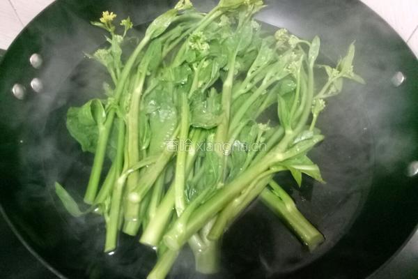 四川冲菜的做法图解5