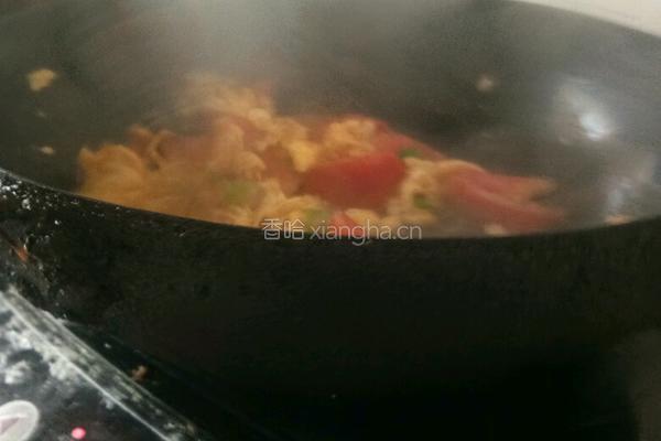 鸡蛋番茄手擀面的做法图解8