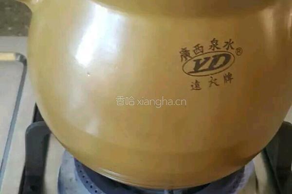 瘦肉冬瓜汤的做法图解3