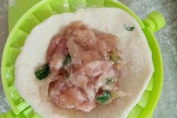 萝卜猪肉馅饺子的做法图解11