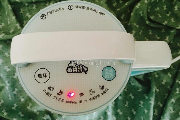 杏仁核桃露的做法图解4