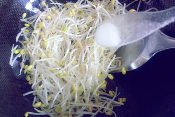豆芽炒韭菜的做法图解5