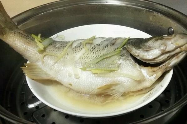 清蒸鲈鱼的做法图解5