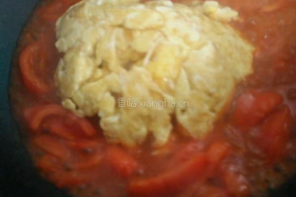番茄鸡蛋的做法图解7