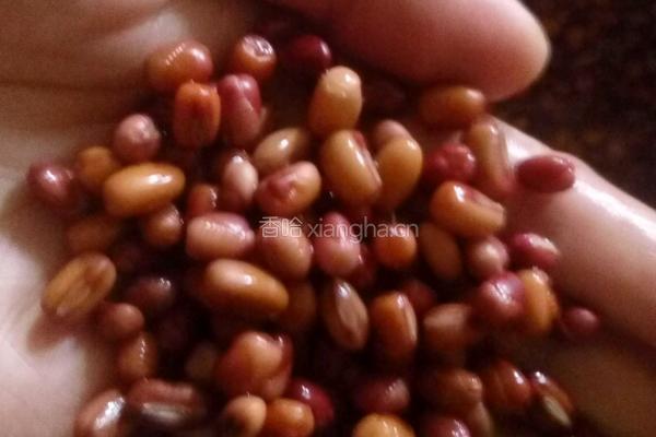 红豆馅豆包的做法图解2