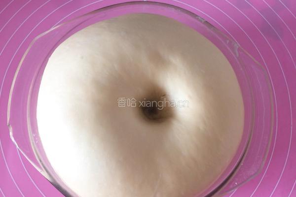波兰种豆沙餐包的做法图解4