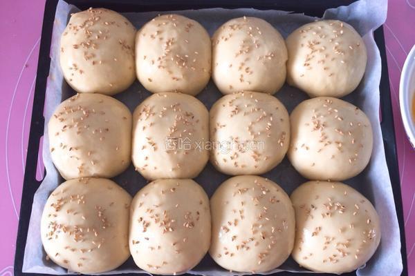 波兰种豆沙餐包的做法图解10
