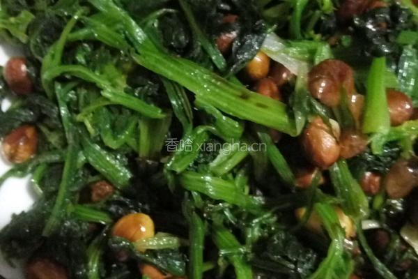 果仁菠菜