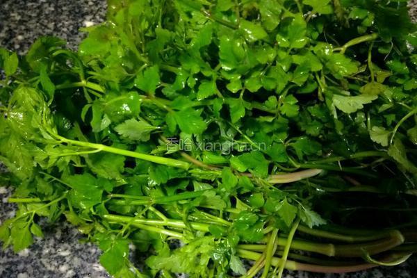凉拌水芹菜的做法图解1