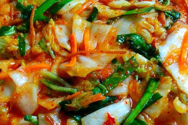 泡菜的做法图解1