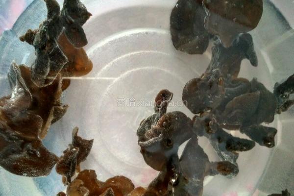 三鲜馅的做法图解3